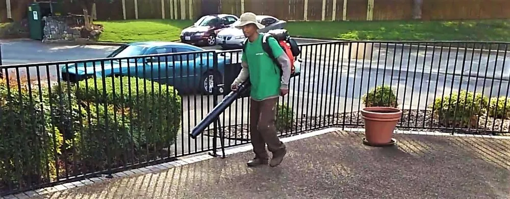 Expert lawn care service in Huntsville, AL - Huntsville Lawn Care