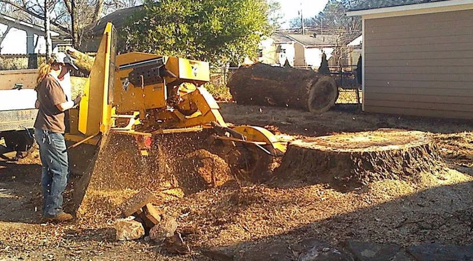 Expert lawn care service for beautiful yards across Huntsville, AL - Huntsville Stump Grinding