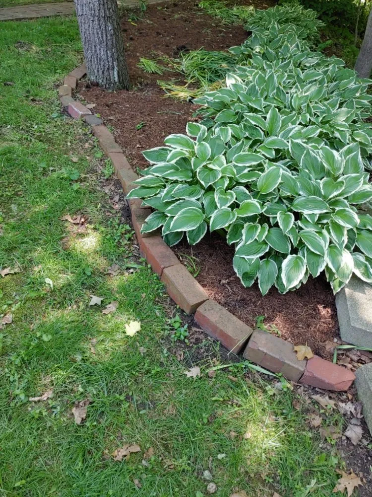 Top-rated yard cleanup service in Anderson, IN - Hurd Family Landscaping Service