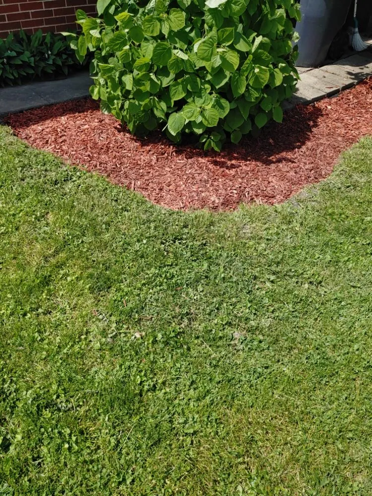 Professional lawn mowing service experts serving Anderson, IN - Hurd Family Landscaping Service