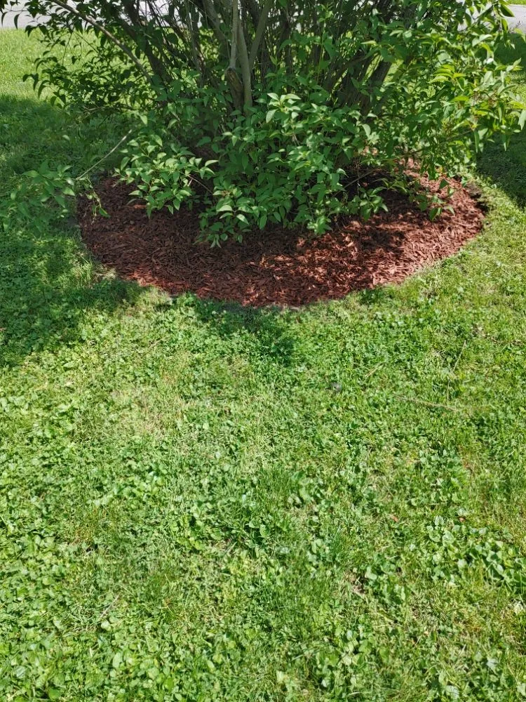 Local outdoor landscaping in Anderson, IN by Hurd Family Landscaping Service