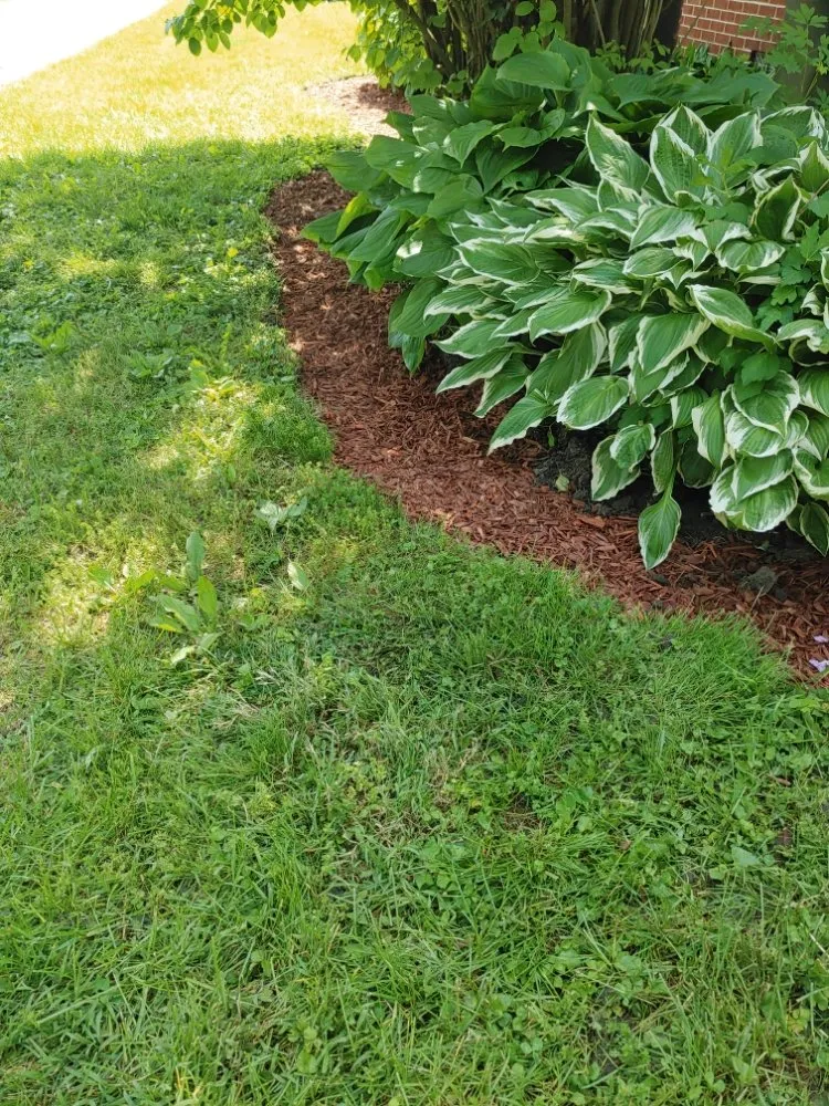 Professional outdoor landscaping experts serving Anderson, IN - Hurd Family Landscaping Service