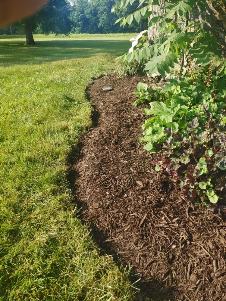 Reliable landscaping services for beautiful yards in Anderson, IN by Hurd Family Landscaping Service