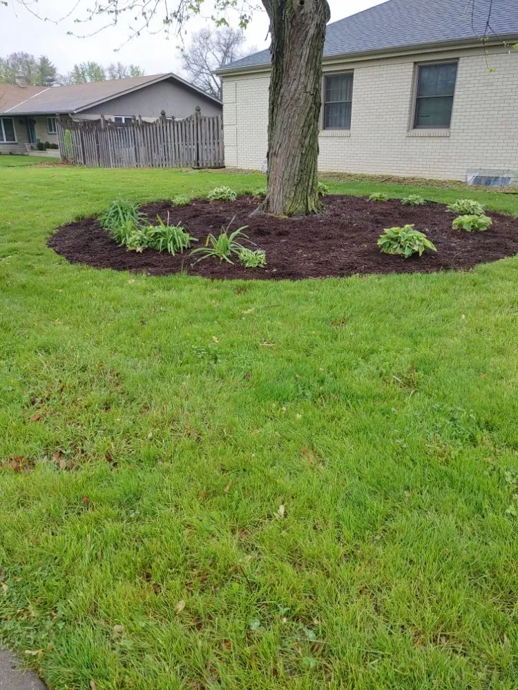 Top-rated yard maintenance experts serving Anderson, IN - Hurd Family Landscaping Service