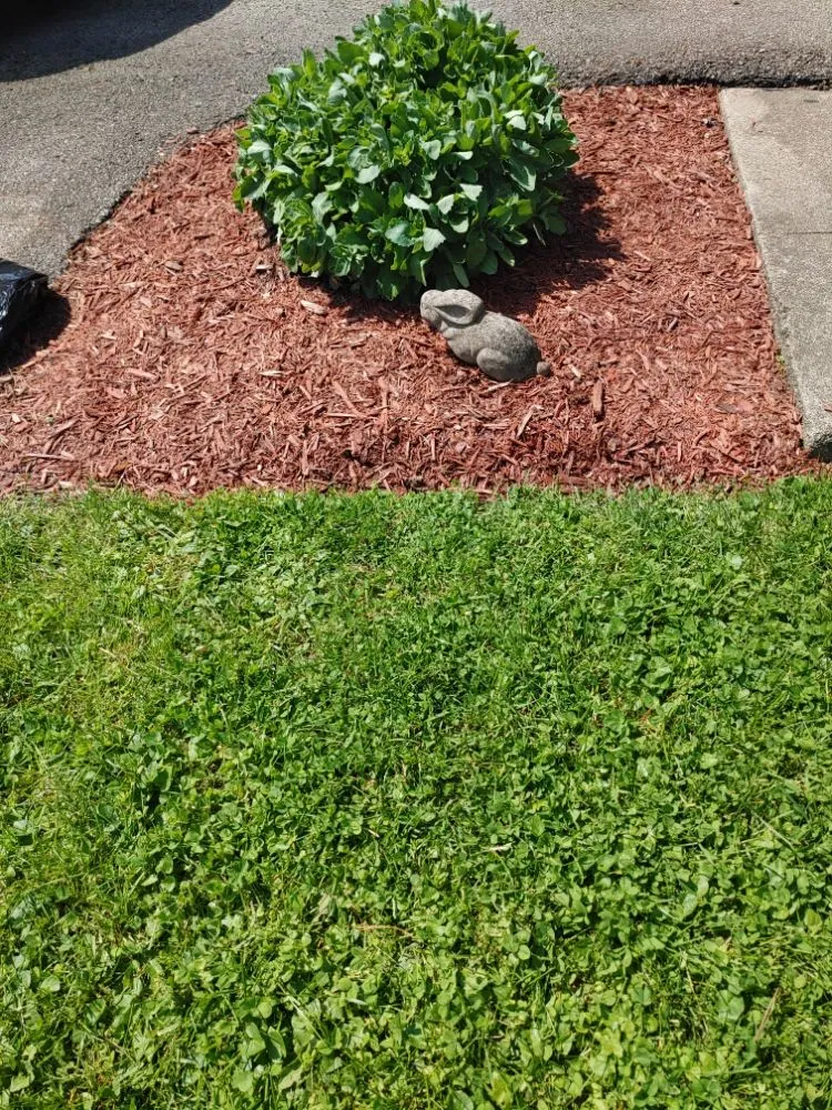 Custom yard cleanup service in Anderson, IN - Hurd Family Landscaping Service