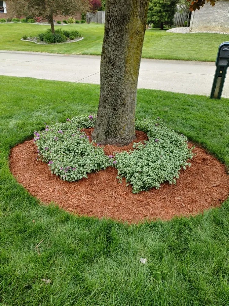 Local residential landscaping experts serving Anderson, IN - Hurd Family Landscaping Service