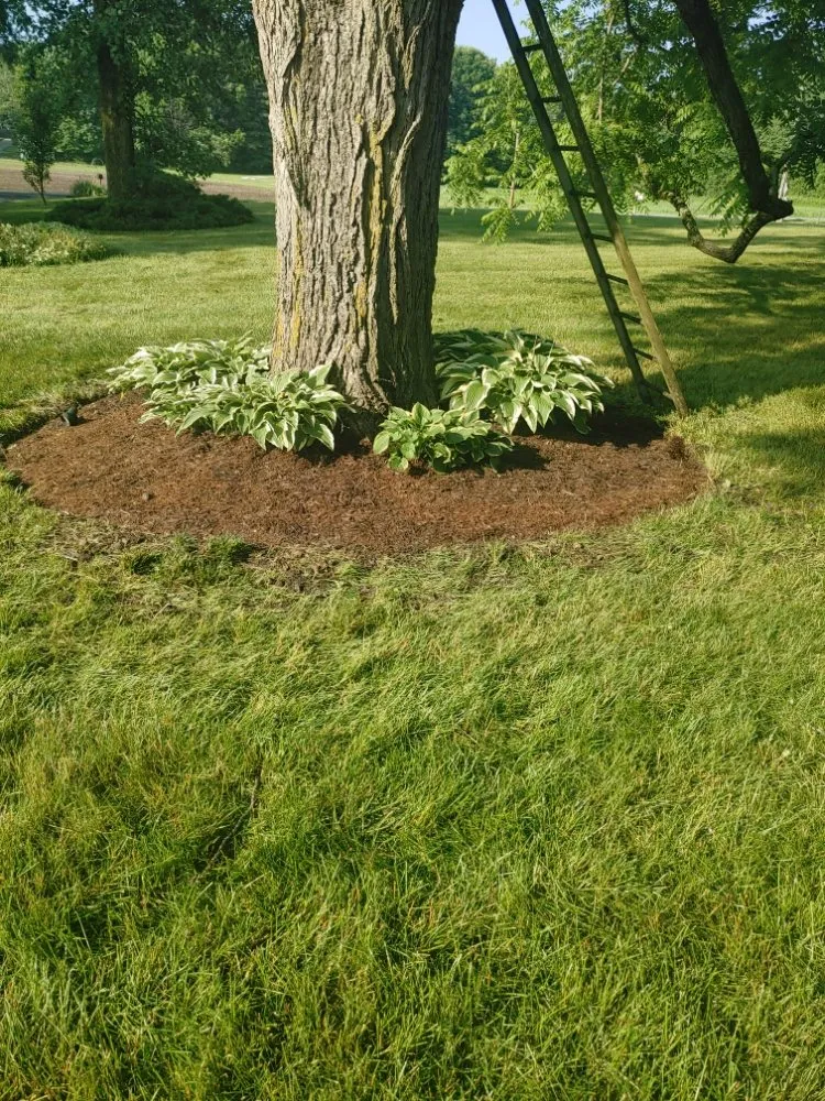 Professional landscaping services with custom design in Anderson, IN by Hurd Family Landscaping Service