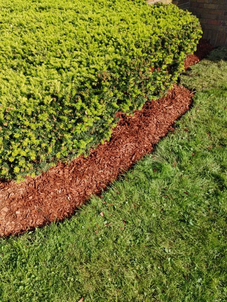 Professional landscaping services in Anderson, IN by Hurd Family Landscaping Service