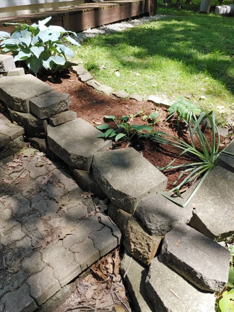 Trusted yard cleanup service in Anderson, IN by Hurd Family Landscaping Service