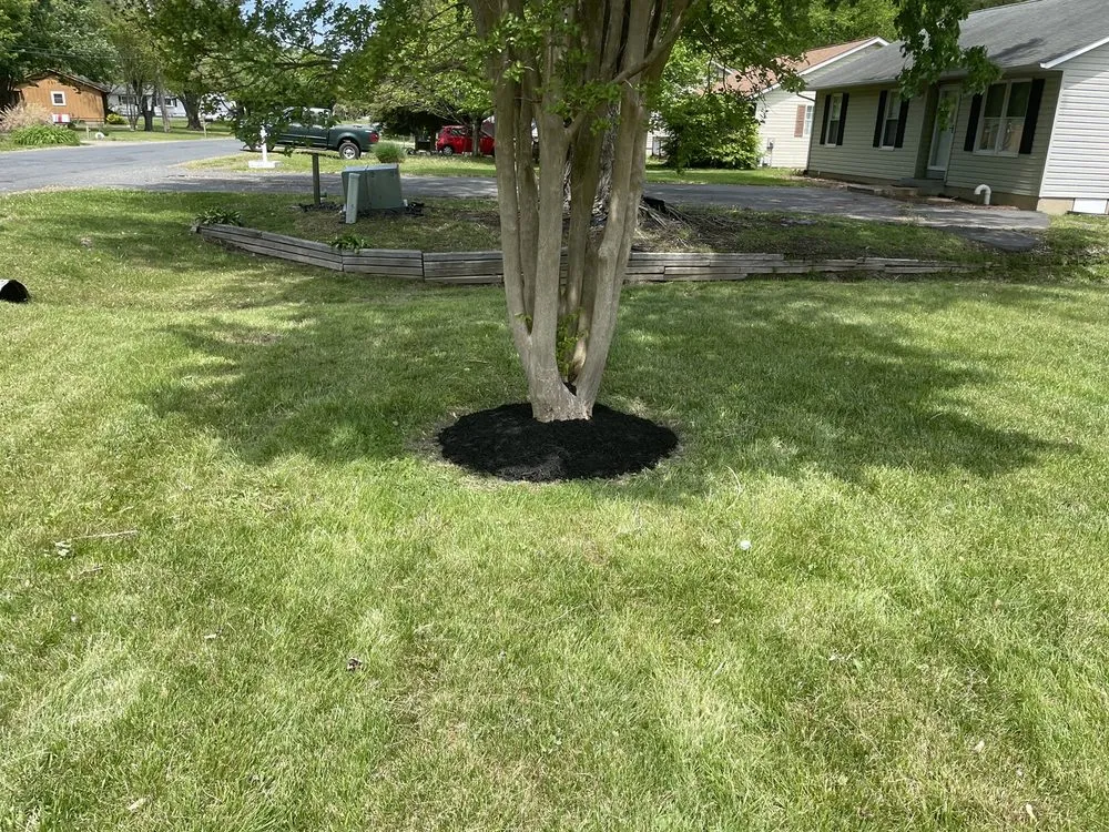 Trusted yard cleanup service for year-round maintenance in Centreville, MD by Hurlburt’s Lawn Care