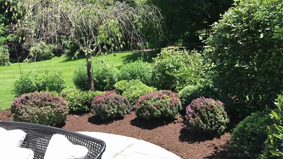 Top-rated lawn care service in Newtown Sq, PA - Hurley2o
