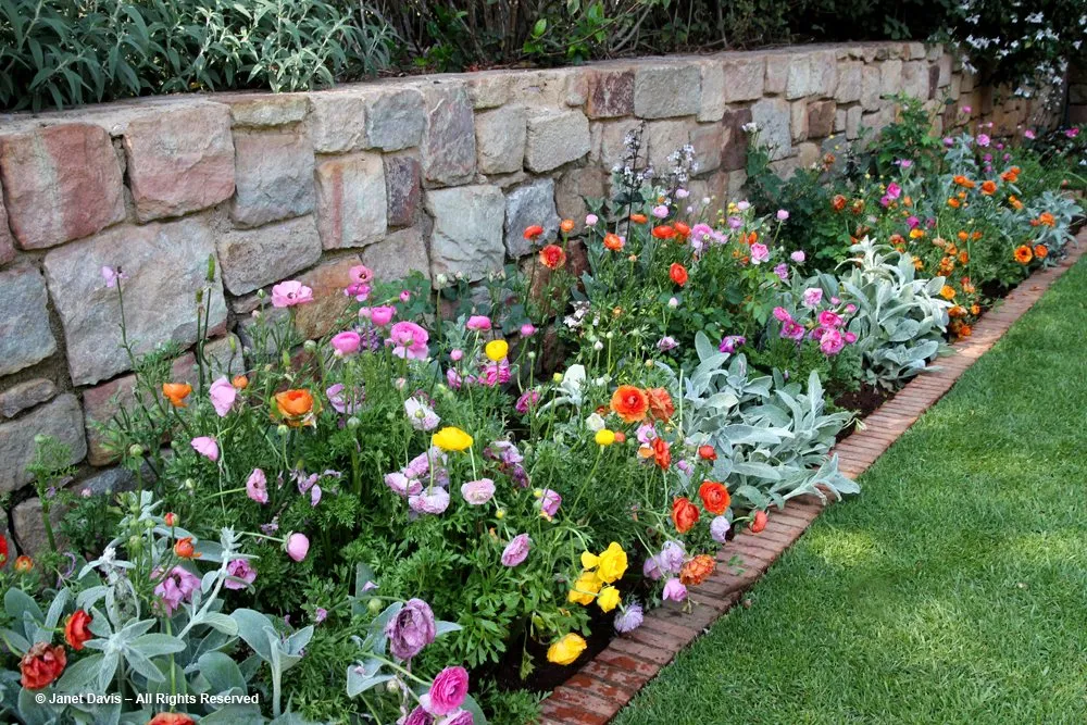 Expert lawn care service for outdoor upgrades in Newtown Sq, PA by Hurley2o