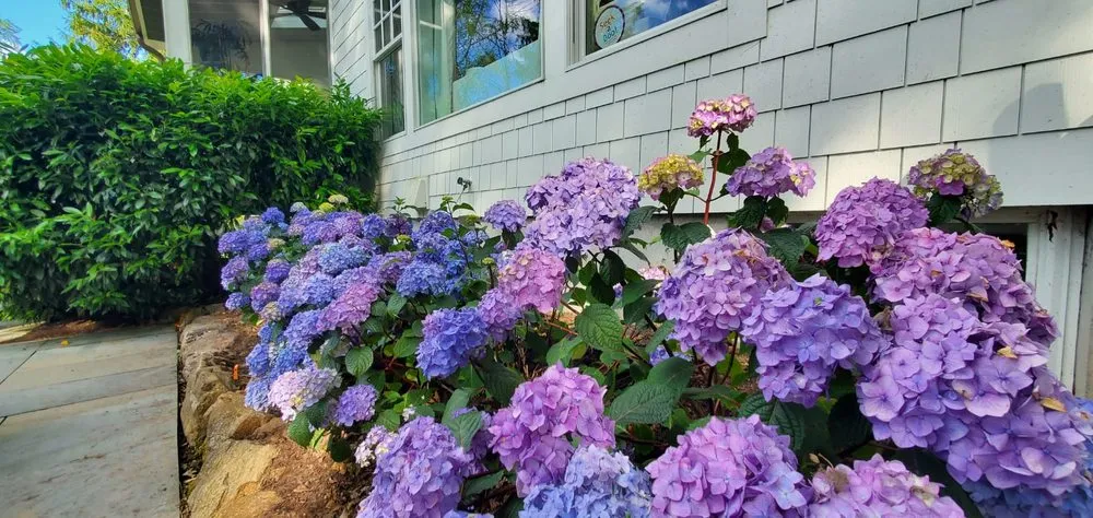 Reliable lawn mowing service for year-round maintenance in Newtown Sq, PA by Hurley2o