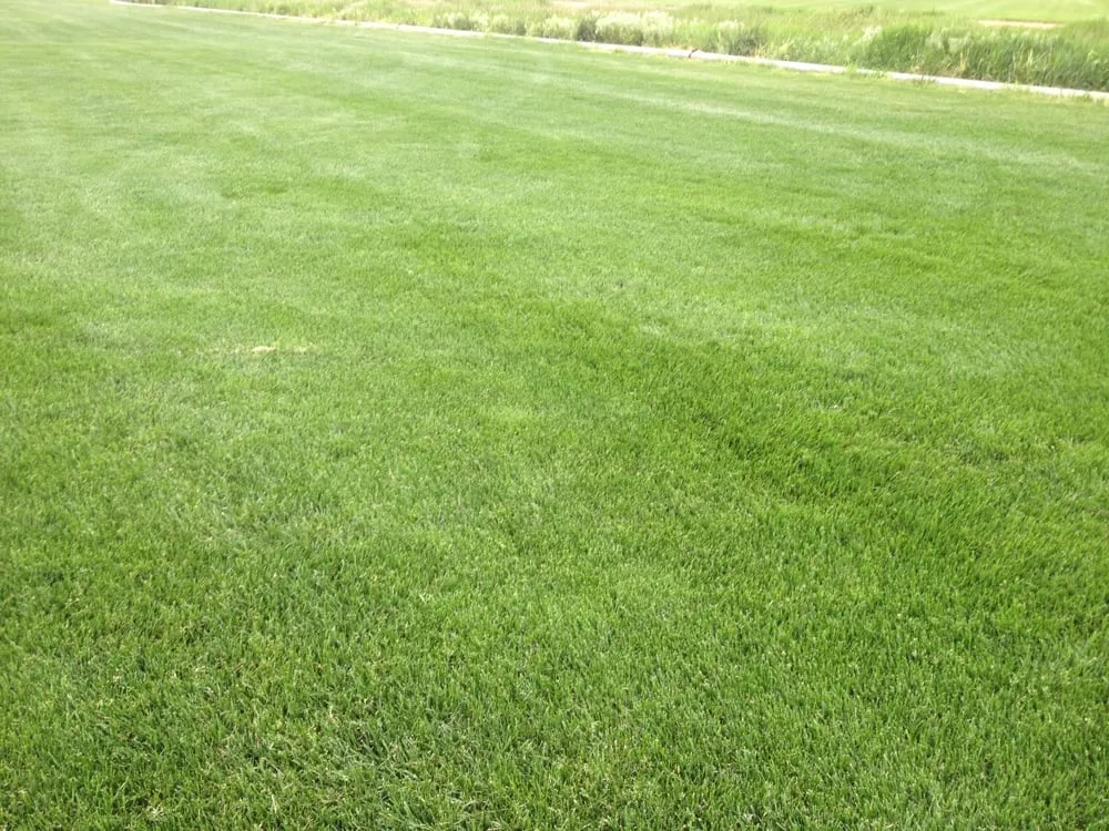 Reliable garden landscaping for beautiful yards across Romulus, MI - Huron Sod Farms Inc