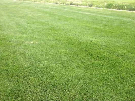 Huron Sod Farms Inc