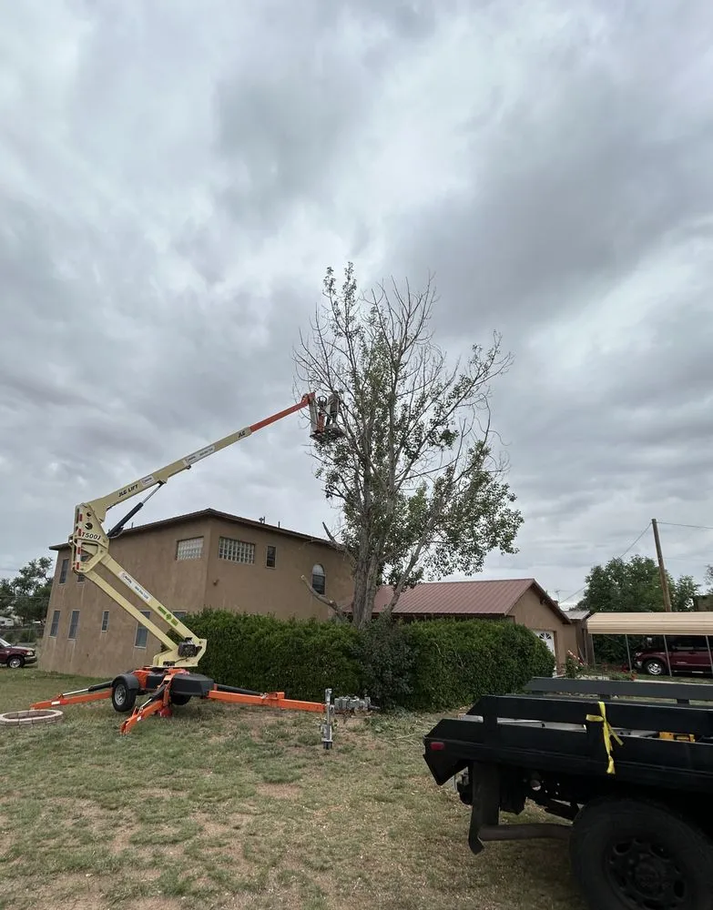 Top-rated yard maintenance for year-round maintenance in Santa Fe, NM by Hurricane Construction & Landscape