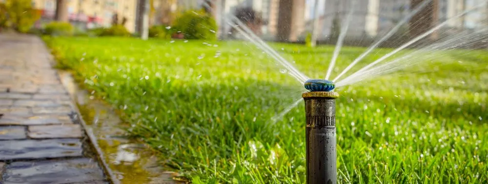 Affordable lawn mowing service in Opa-locka, FL by Hurricane Irrigation