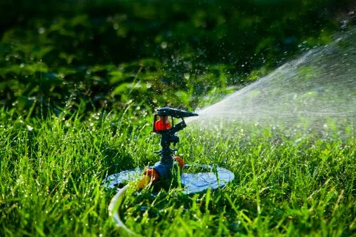 Expert yard cleanup service for residential properties in Opa-locka, FL by Hurricane Irrigation