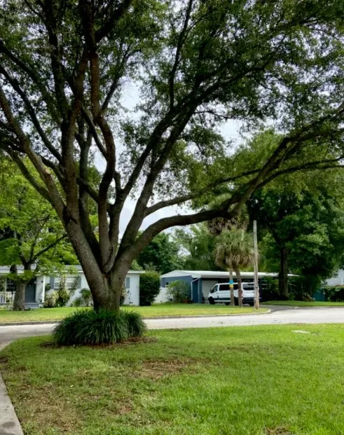 Reliable residential landscaping for beautiful yards across Longwood, FL - Hurricane Landscaping & Tree Trimming