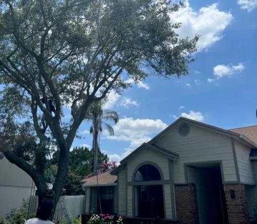 Custom garden landscaping experts serving Longwood, FL - Hurricane Landscaping & Tree Trimming