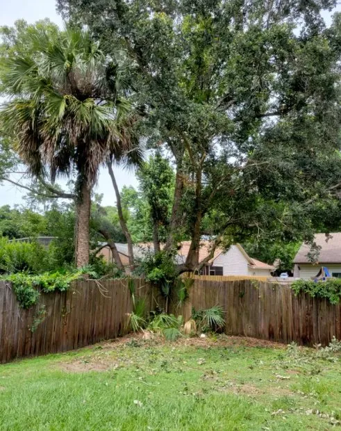 Custom yard cleanup service for outdoor upgrades in Longwood, FL by Hurricane Landscaping & Tree Trimming