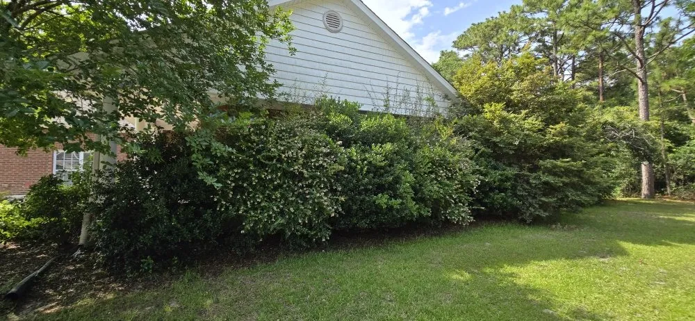 Reliable outdoor landscaping in Leland, NC - Hurricane Lawn Care