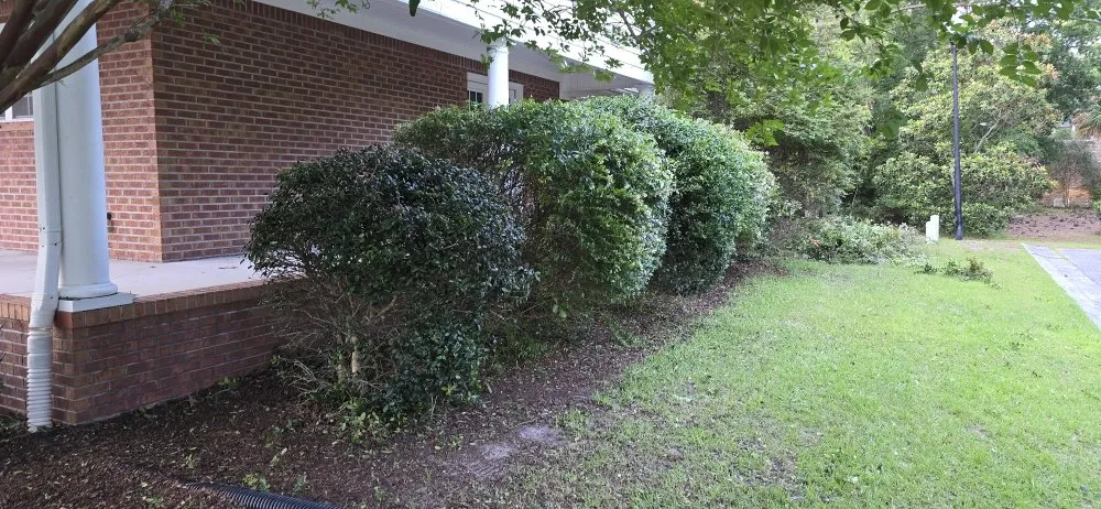 Reliable lawn care service in Leland, NC by Hurricane Lawn Care