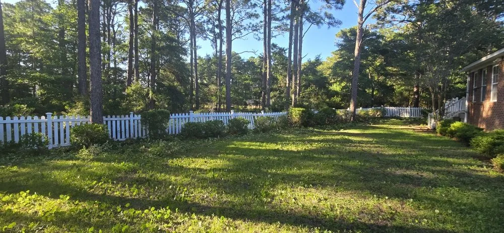Expert yard cleanup service in Leland, NC - Hurricane Lawn Care