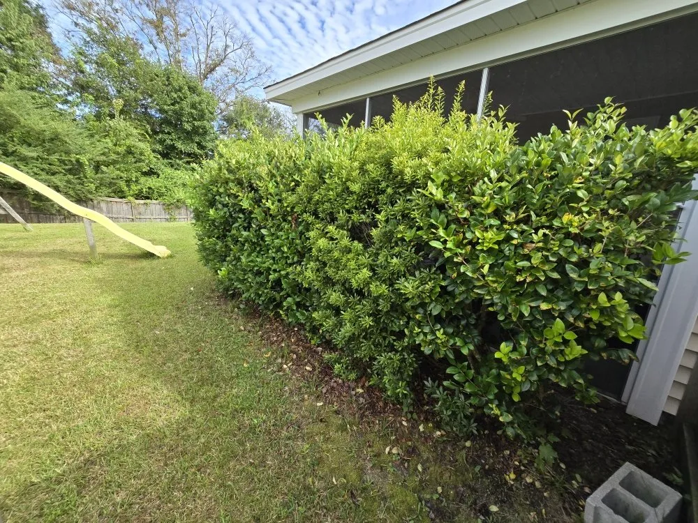 Affordable yard cleanup service for outdoor upgrades in Leland, NC by Hurricane Lawn Care
