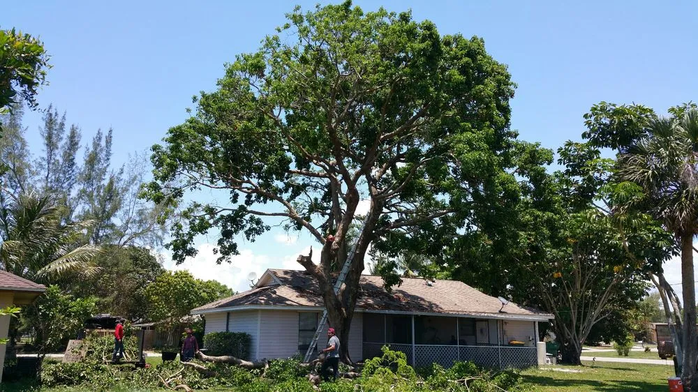 Trusted landscaping services in Naples, FL - Hurricane Tree Service And Landscaping