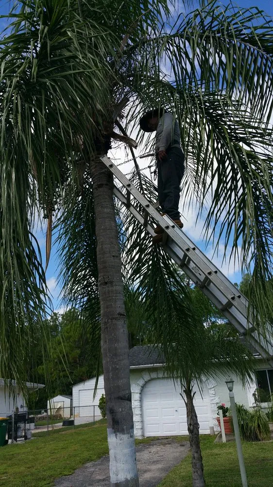 Professional landscaping services with custom design across Naples, FL - Hurricane Tree Service And Landscaping