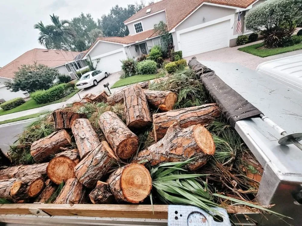 Expert residential landscaping in Naples, FL - Hurricane Tree Service And Landscaping
