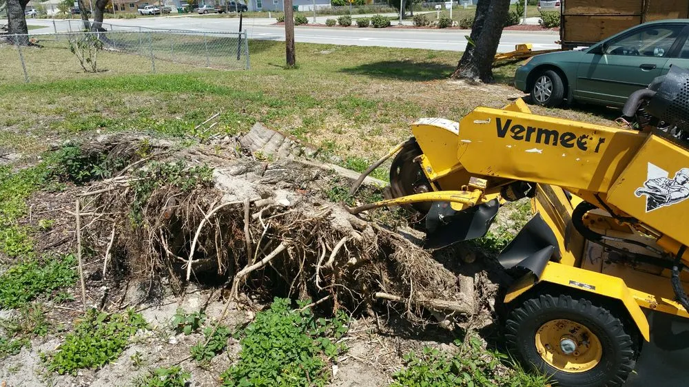 Expert garden landscaping near you across Naples, FL - Hurricane Tree Service And Landscaping