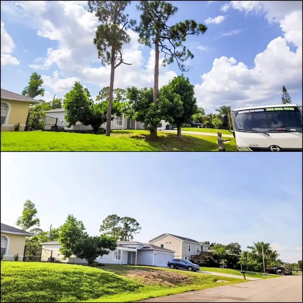 Trusted landscape installation experts serving Naples, FL - Hurricane Tree Service And Landscaping