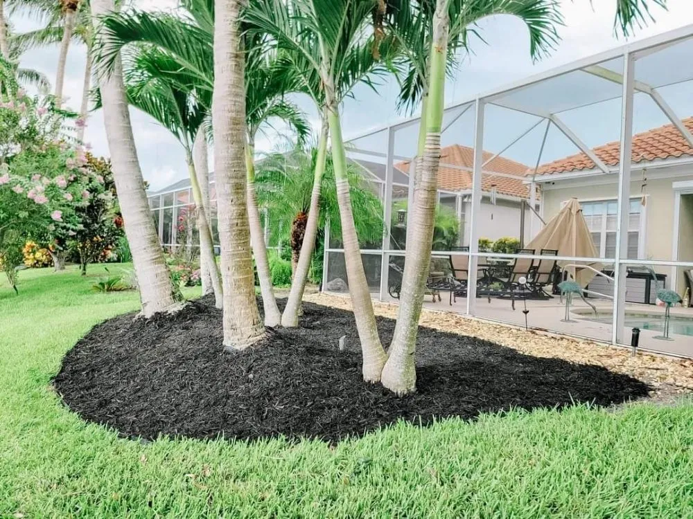 Local yard cleanup service experts serving Naples, FL - Hurricane Tree Service And Landscaping