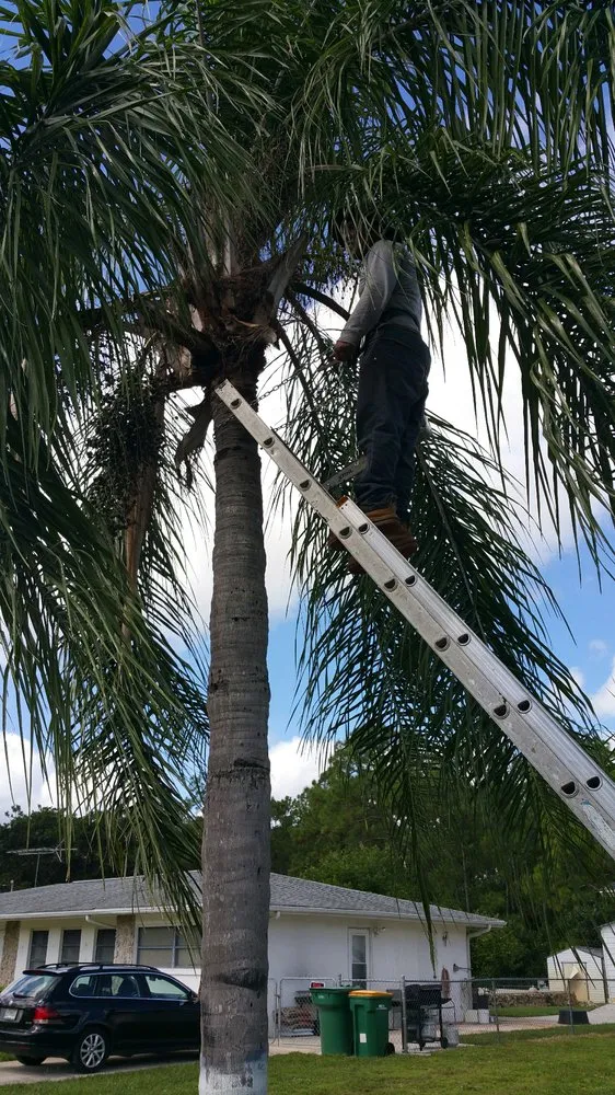 Reliable lawn mowing service experts serving Naples, FL - Hurricane Tree Service And Landscaping