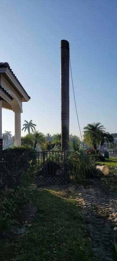 Professional residential landscaping near you in Naples, FL by Hurricane Tree Service And Landscaping