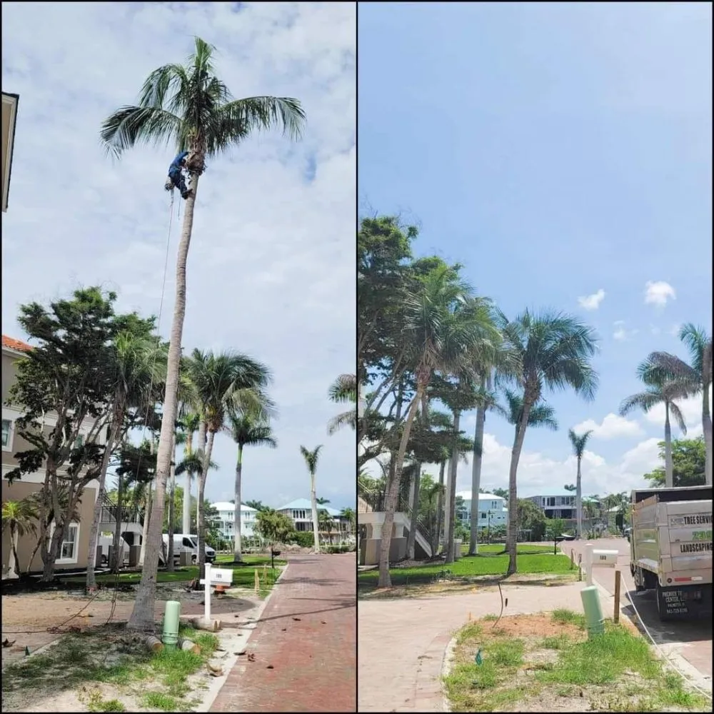 Custom yard maintenance in Naples, FL - Hurricane Tree Service And Landscaping