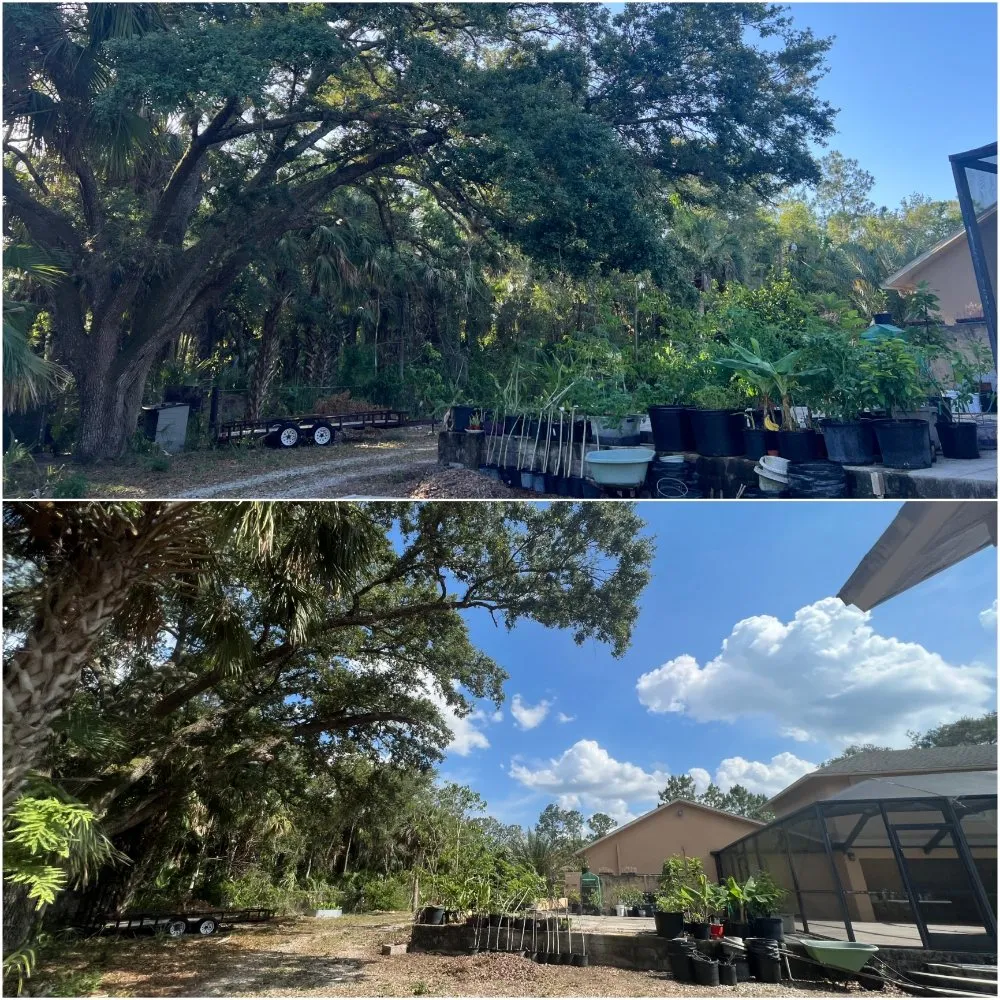 Custom lawn mowing service for year-round maintenance across Naples, FL - Hurricane Tree Service And Landscaping