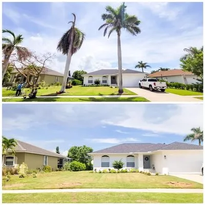 Hurricane Tree Service And Landscaping Logo