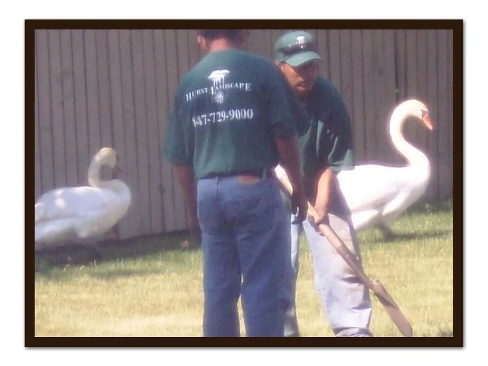 Top-rated landscape installation for beautiful yards across Glenview, IL - Hurst Landscape Company