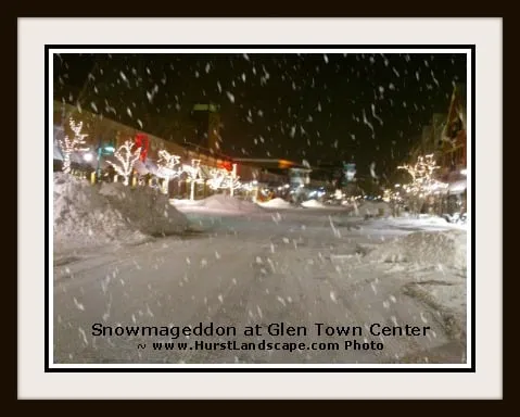 Top-rated lawn care service in Glenview, IL by Hurst Landscape Company