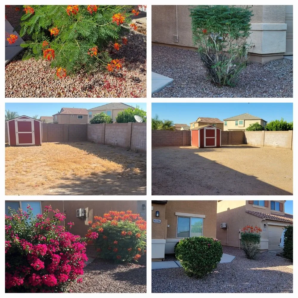 Top-rated landscaping services for beautiful yards across Maricopa, AZ - Husband & Wife Landscape Team