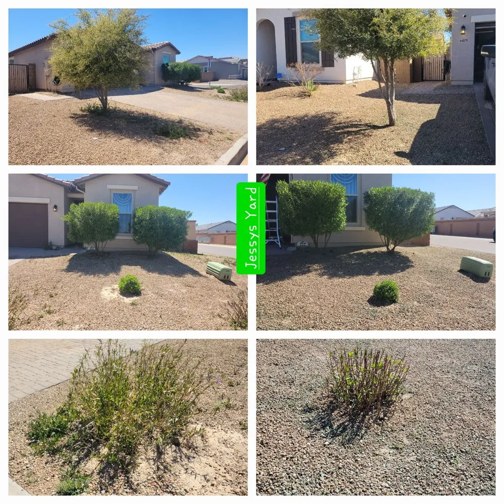 Custom residential landscaping in Maricopa, AZ - Husband & Wife Landscape Team