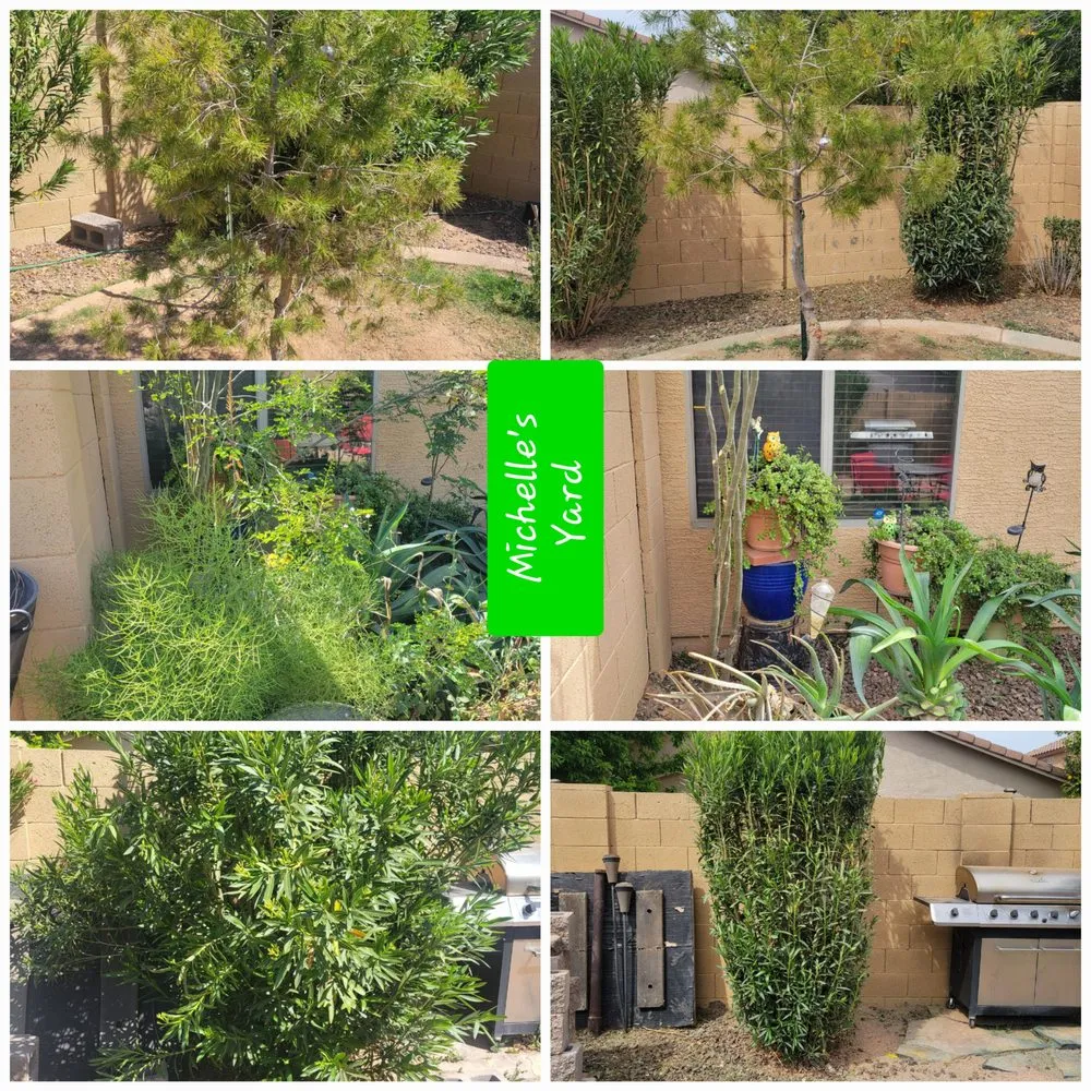 Affordable outdoor landscaping with custom design across Maricopa, AZ - Husband & Wife Landscape Team