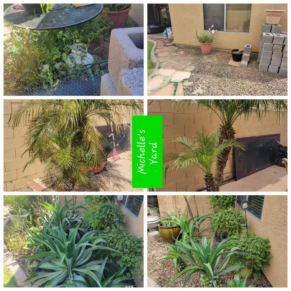 Professional landscaping services in Maricopa, AZ - Husband & Wife Landscape Team