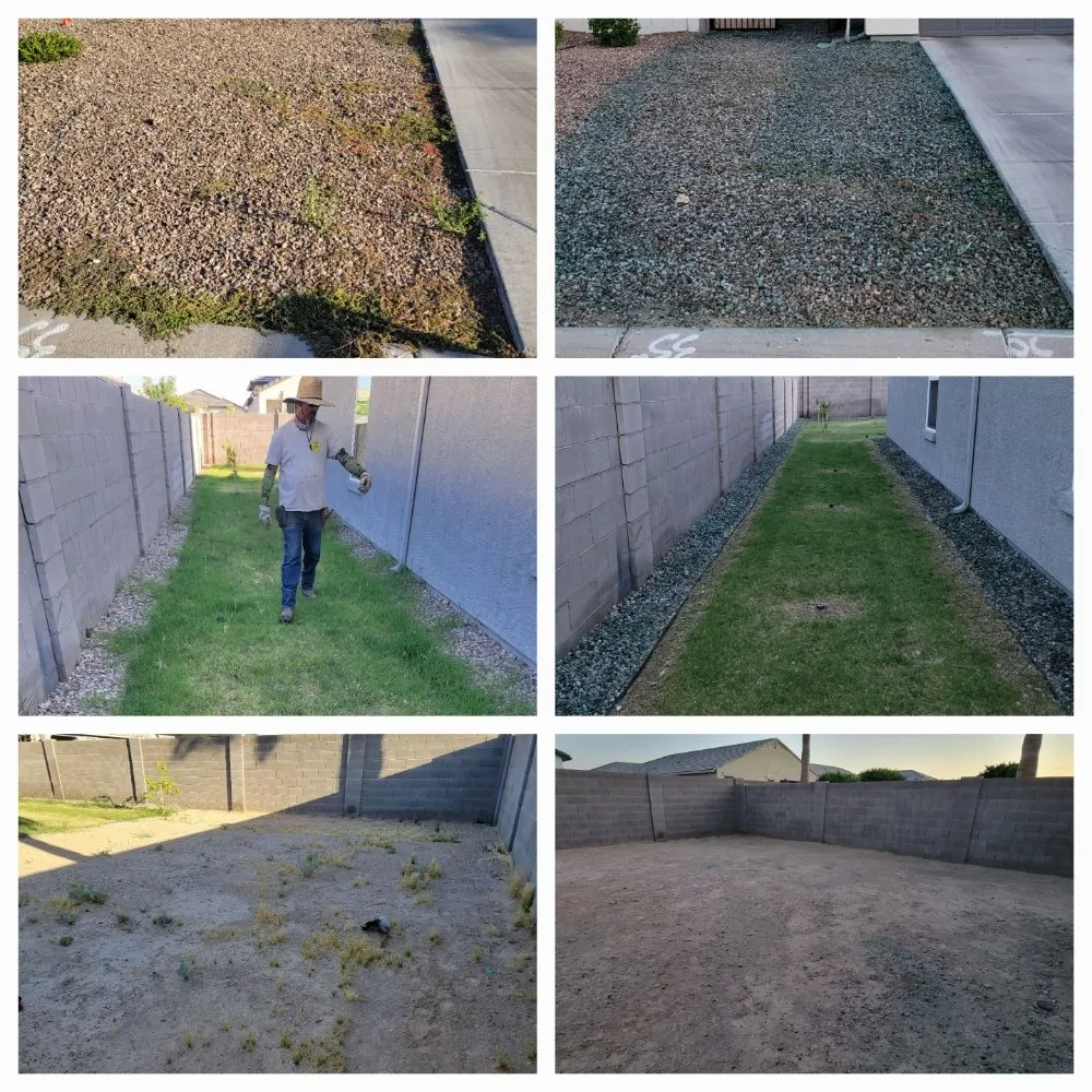 Trusted garden landscaping experts serving Maricopa, AZ - Husband & Wife Landscape Team