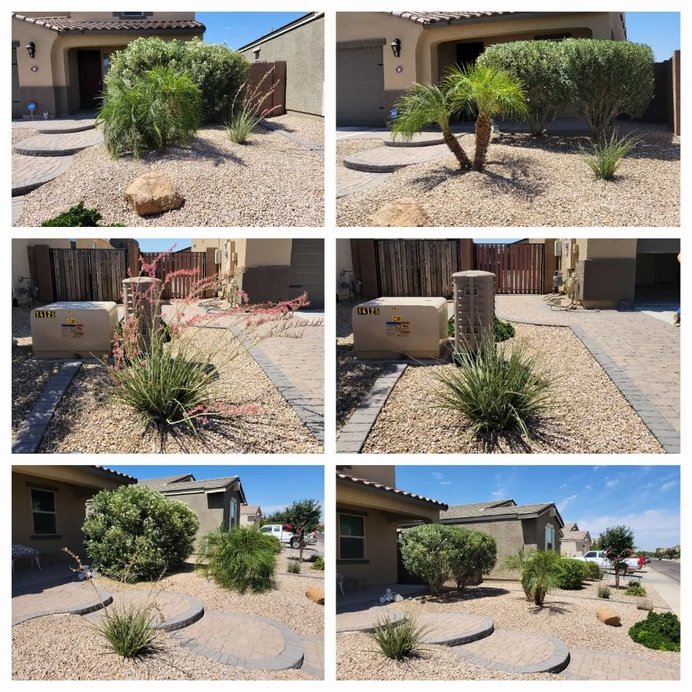 Professional landscape design for year-round maintenance in Maricopa, AZ by Husband & Wife Landscape Team