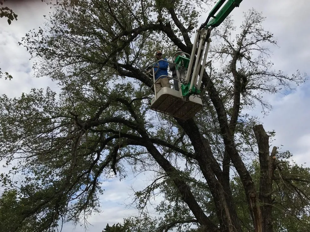 Reliable landscaping services experts serving Guthrie, OK - Huskey Turf Solutions