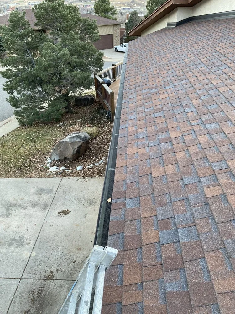 Local yard cleanup service for beautiful yards in Thornton, CO by Huskie's Concrete